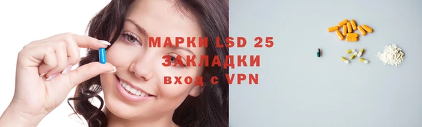 стаф Абинск
