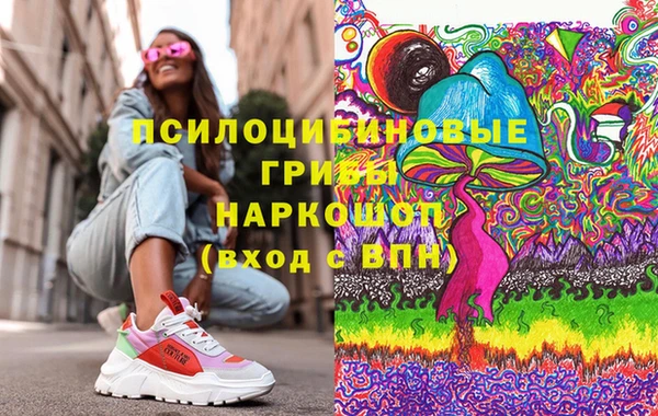 стаф Абинск