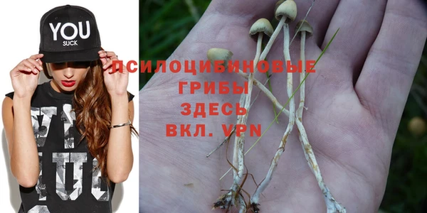 наркотики Абаза