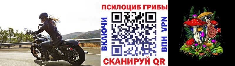 Псилоцибиновые грибы мухоморы  omg зеркало  Заволжье 